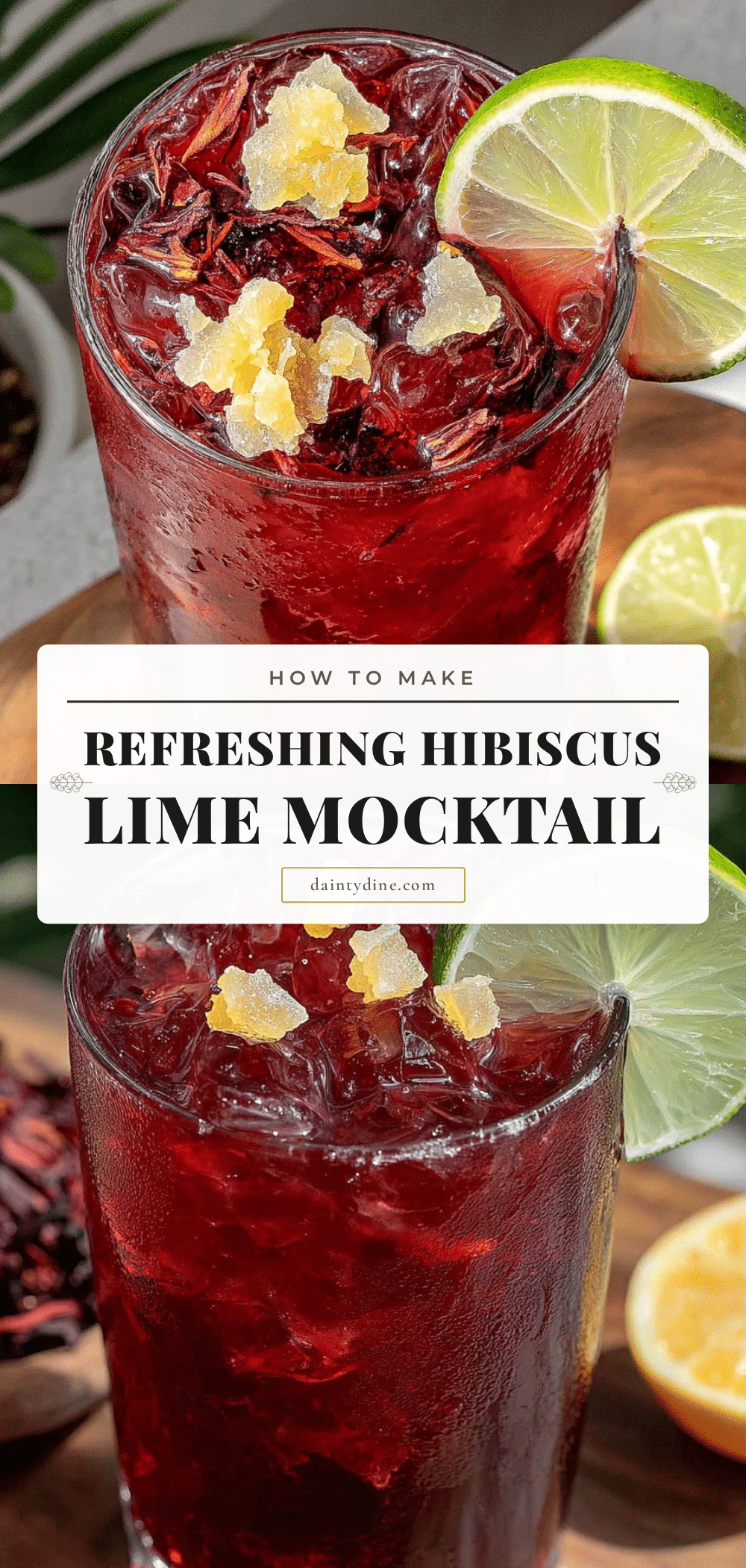 Agua de Jamaica Mocktail recipe