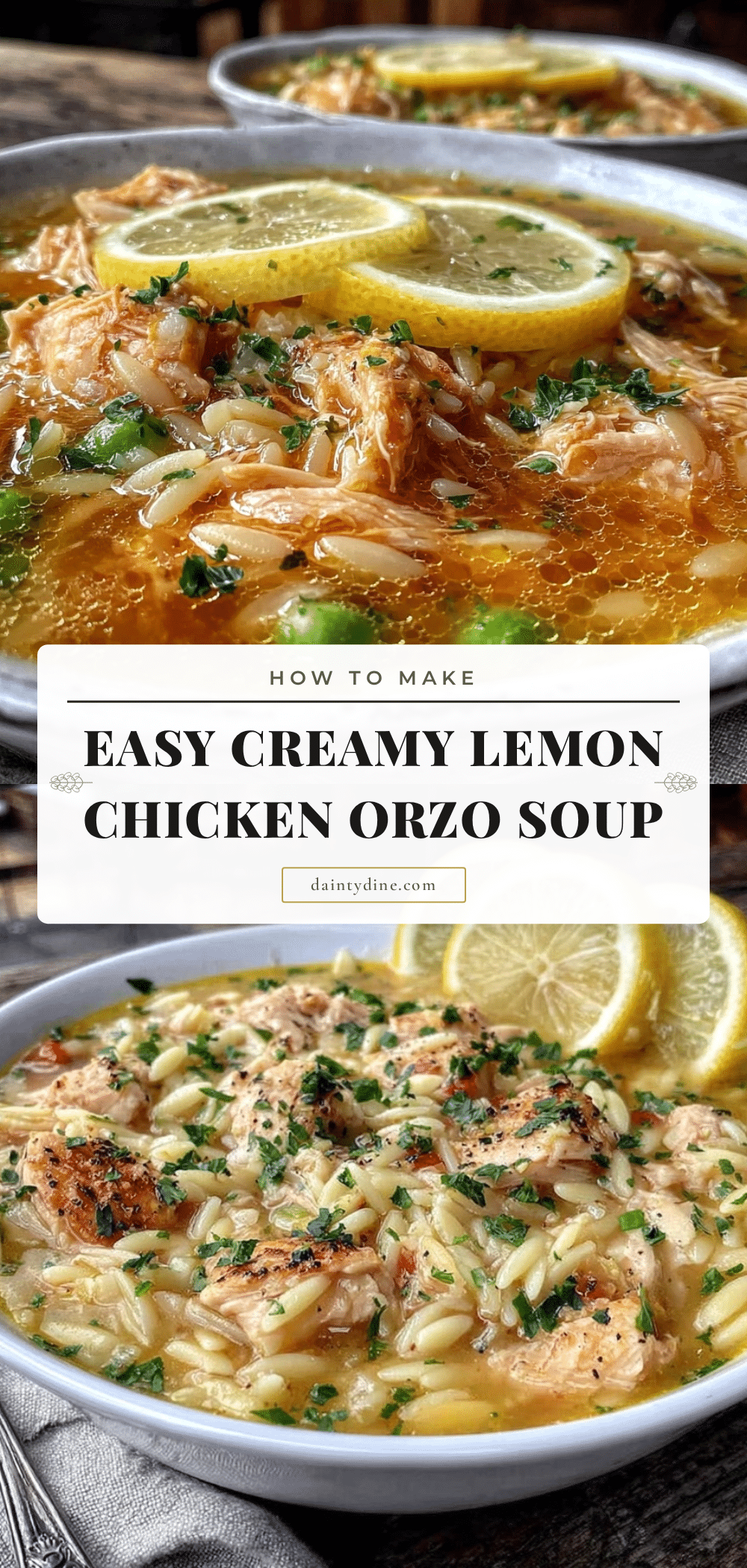lemon chicken orzo soup recipe