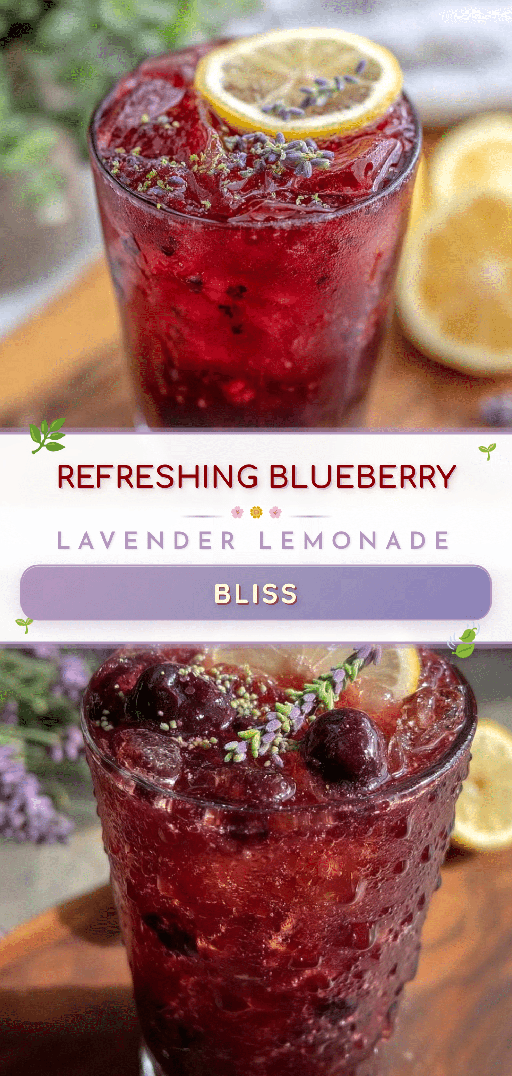 blueberry lavender lemonade recipe recipe