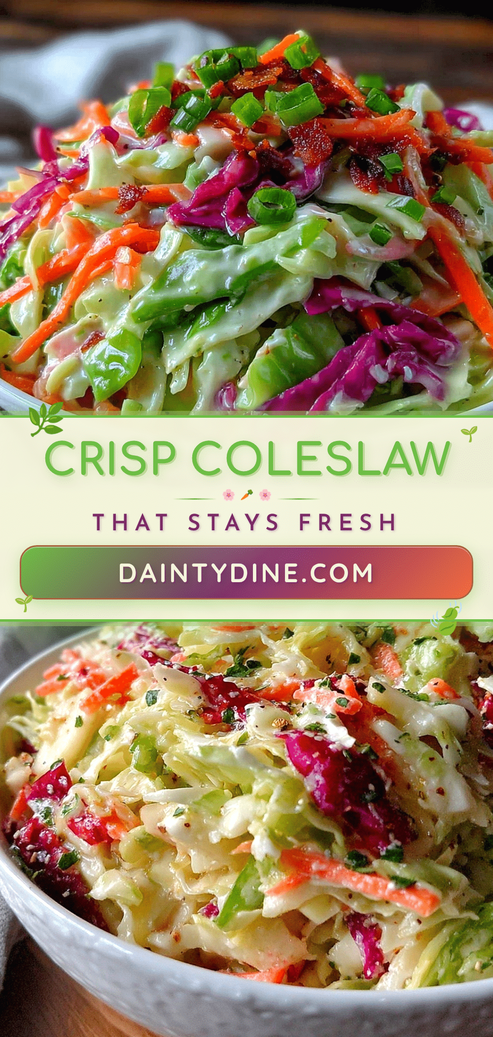fresh coleslaw recipe recipe