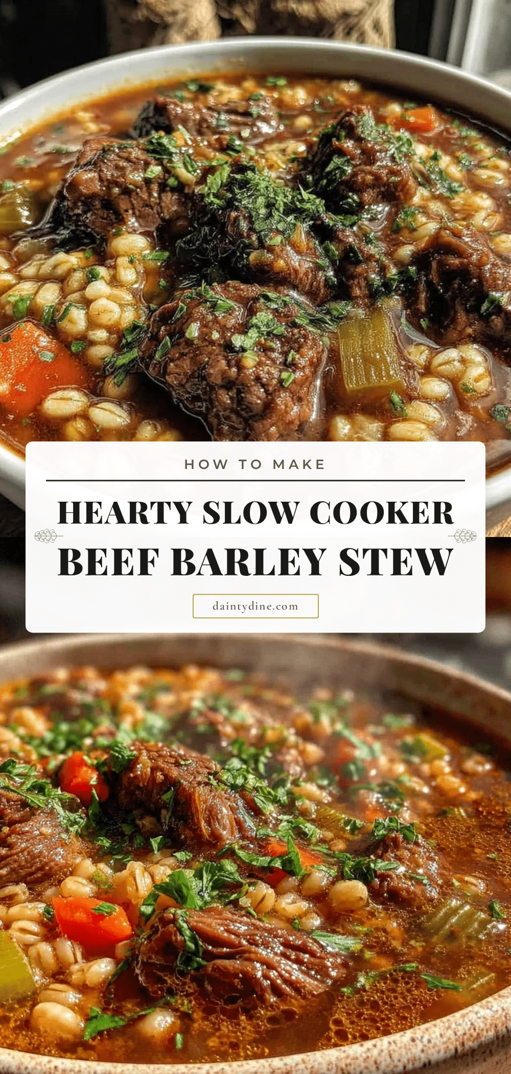 slow cooker beef and barley stew recipe
