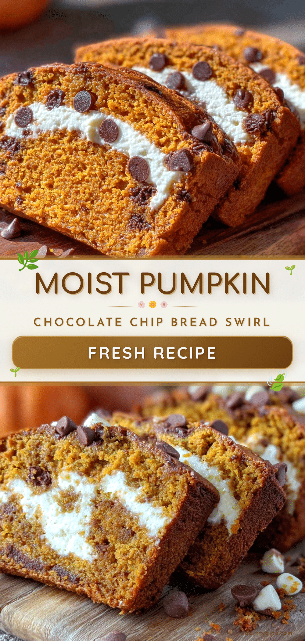 pumpkin chocolate chip bread recipe