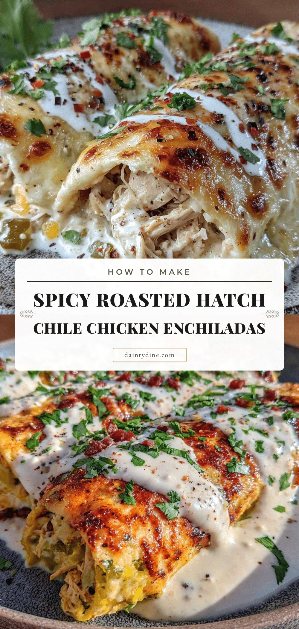 Roasted Hatch Green Chile Chicken Enchiladas recipe