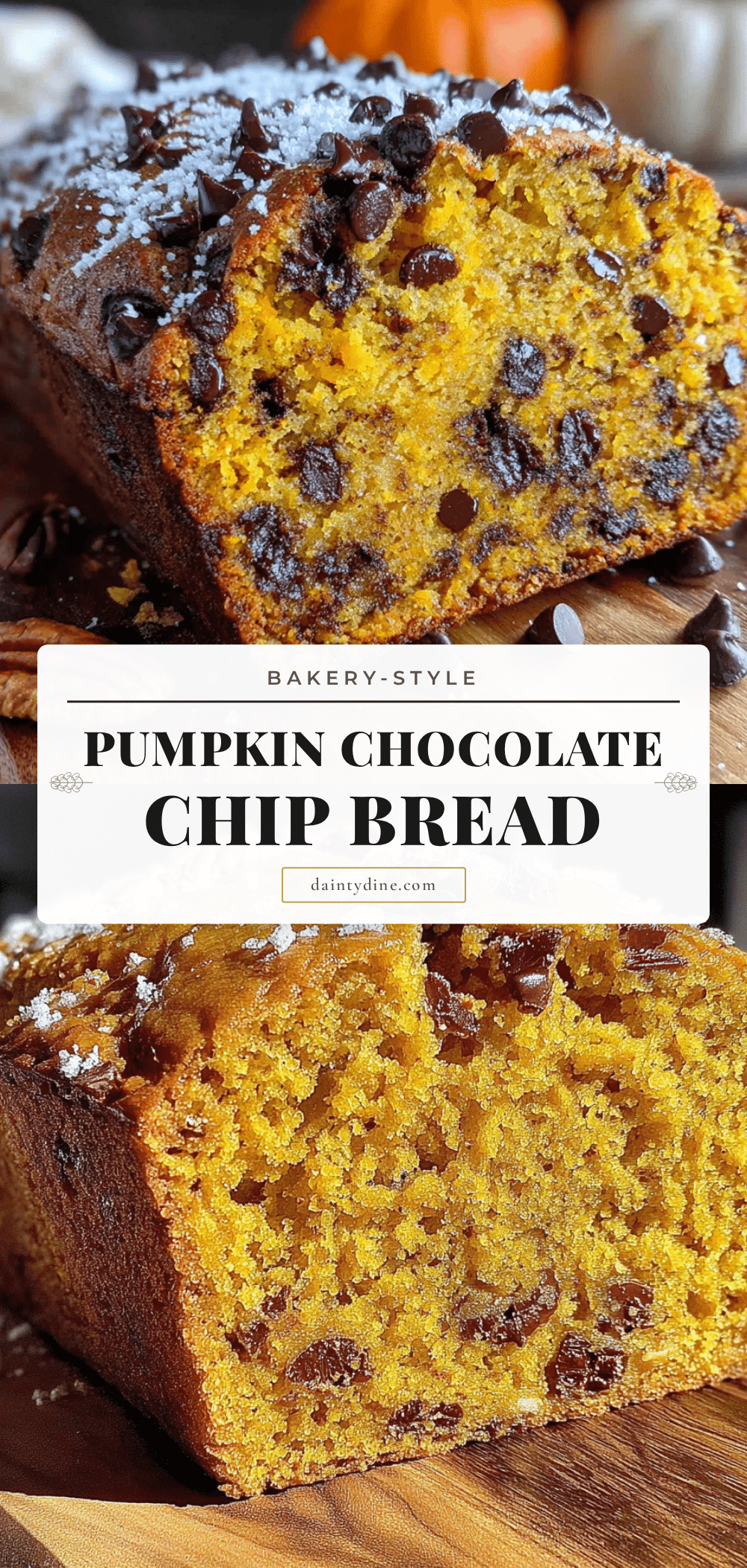moist pumpkin chocolate chip bread recipe