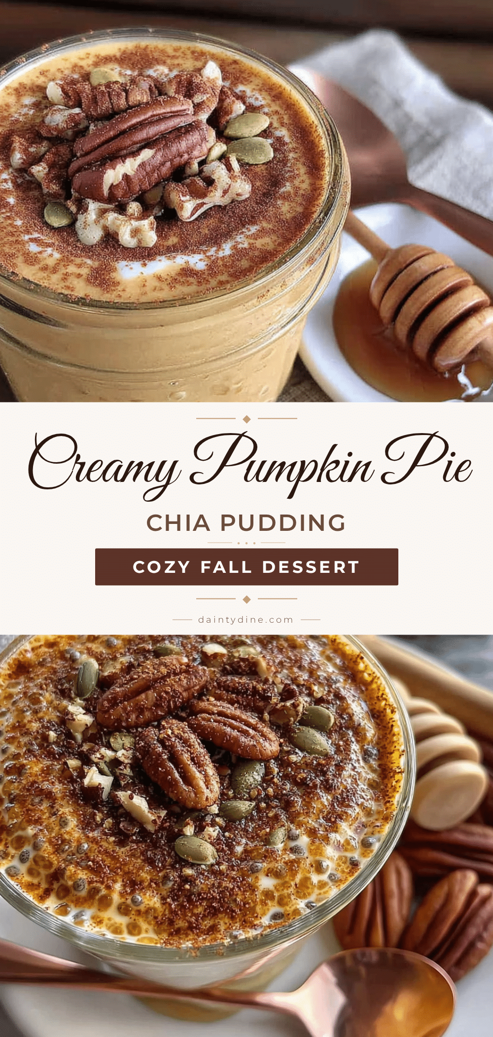 pumpkin pie chia seed pudding recipe