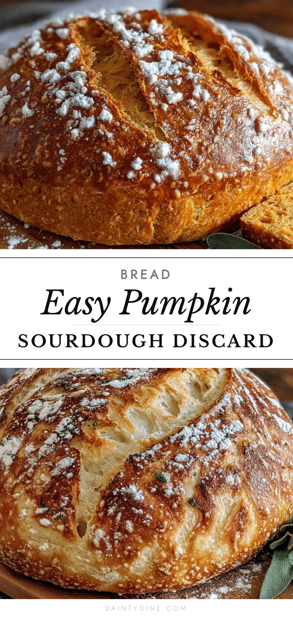 pumpkin sourdough discard bread recipe