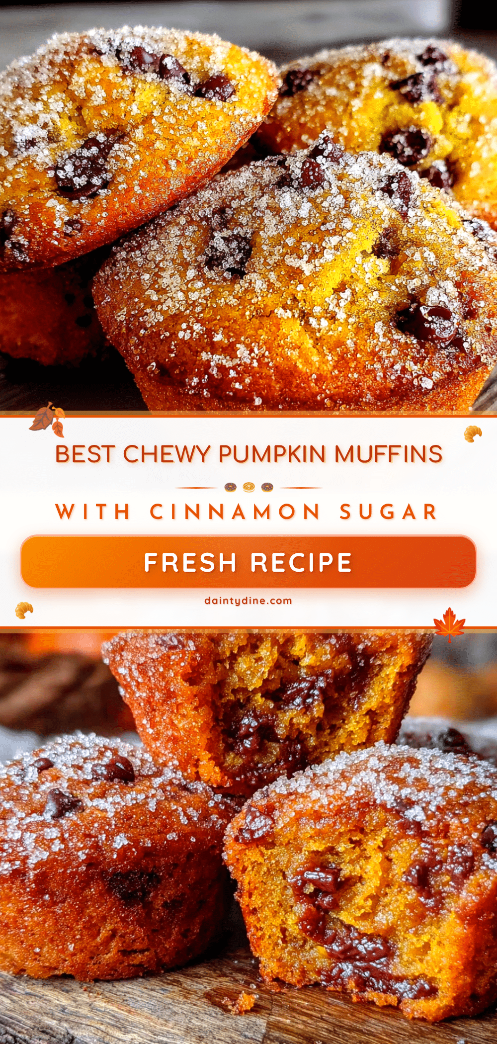 chewy chocolate chip pumpkin muffins recipe