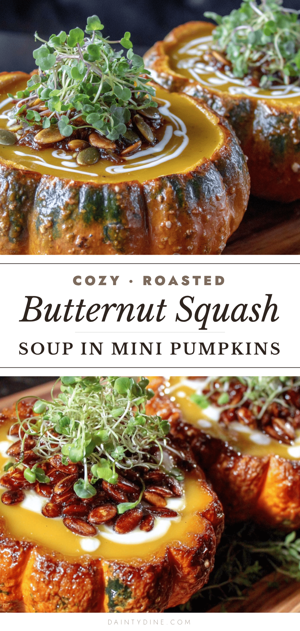 cozy roasted butternut squash soup recipe