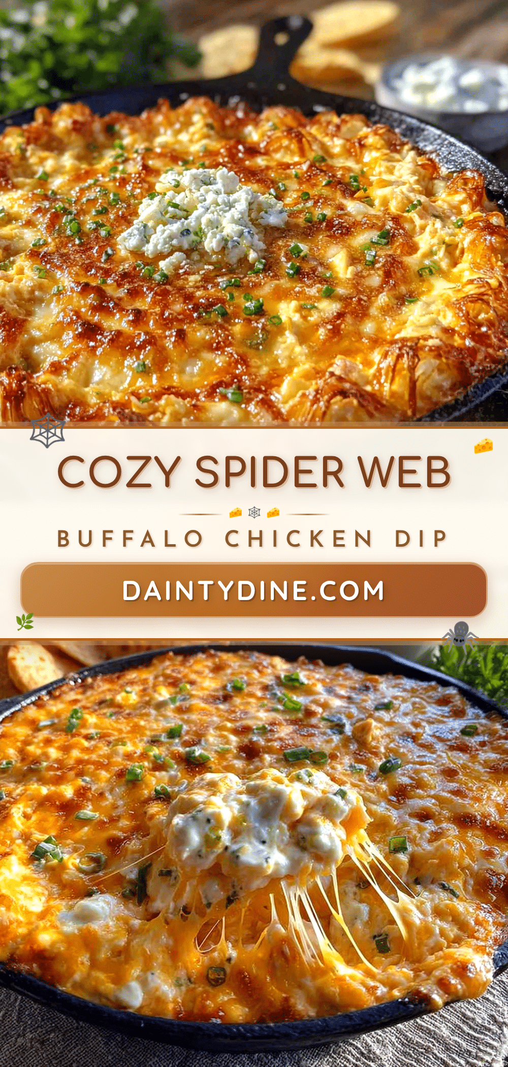 cozy spider web buffalo chicken dip recipe