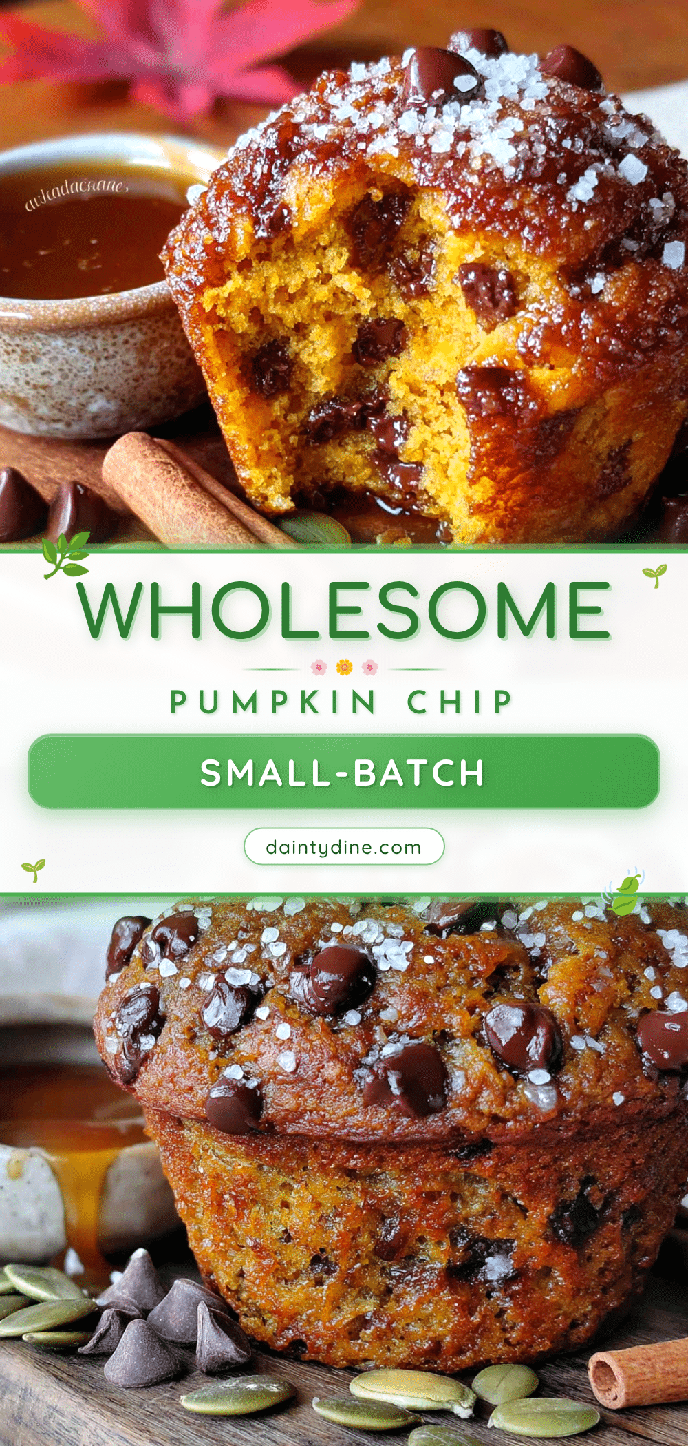 pumpkin chocolate chip muffins recipe