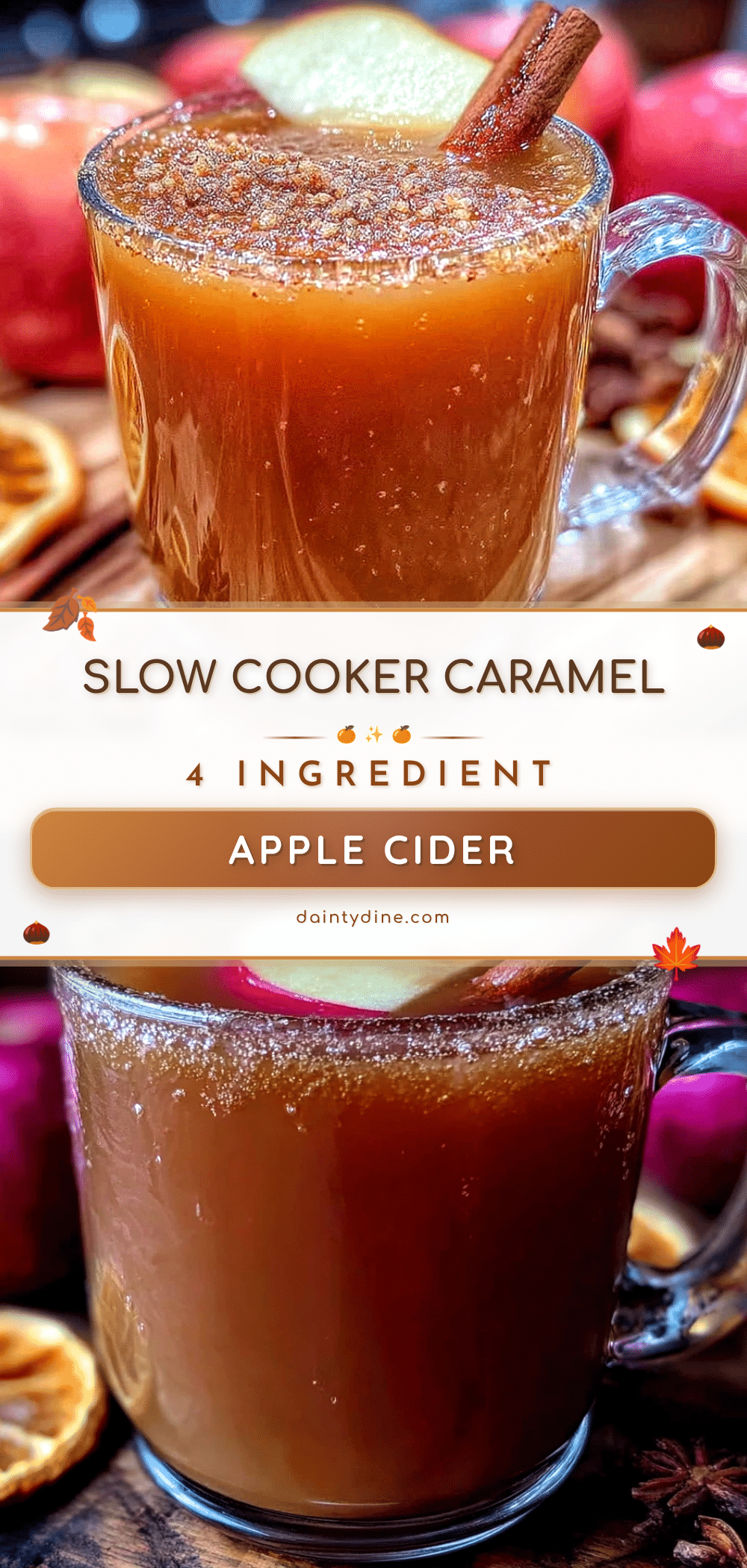 Slow Cooker Caramel Apple Cider recipe