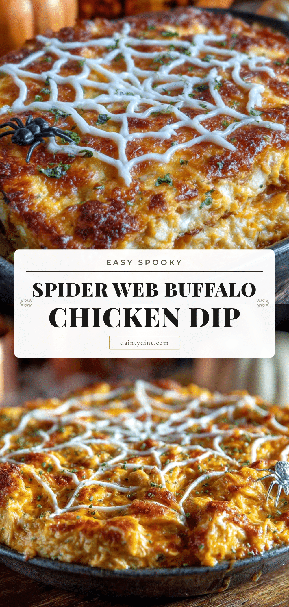 spider web buffalo chicken dip recipe