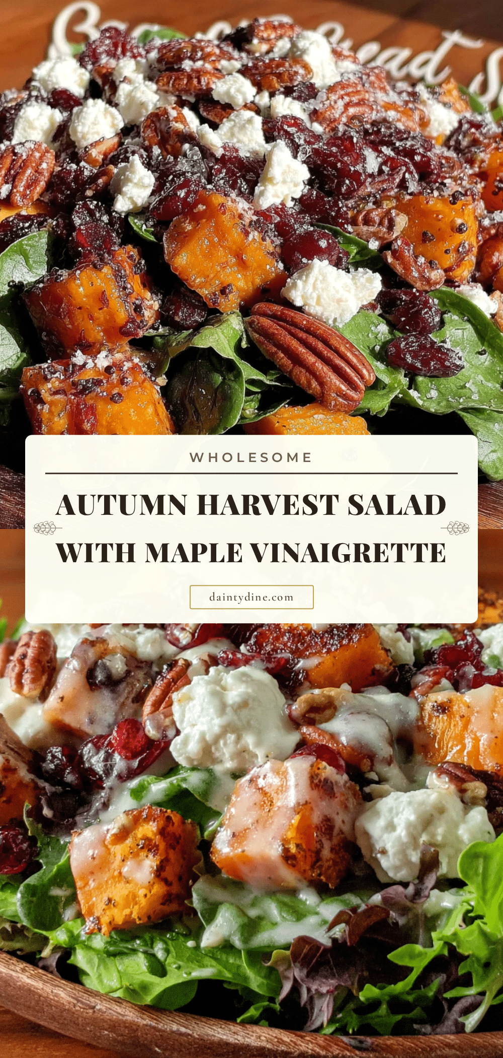 autumn harvest salad recipe