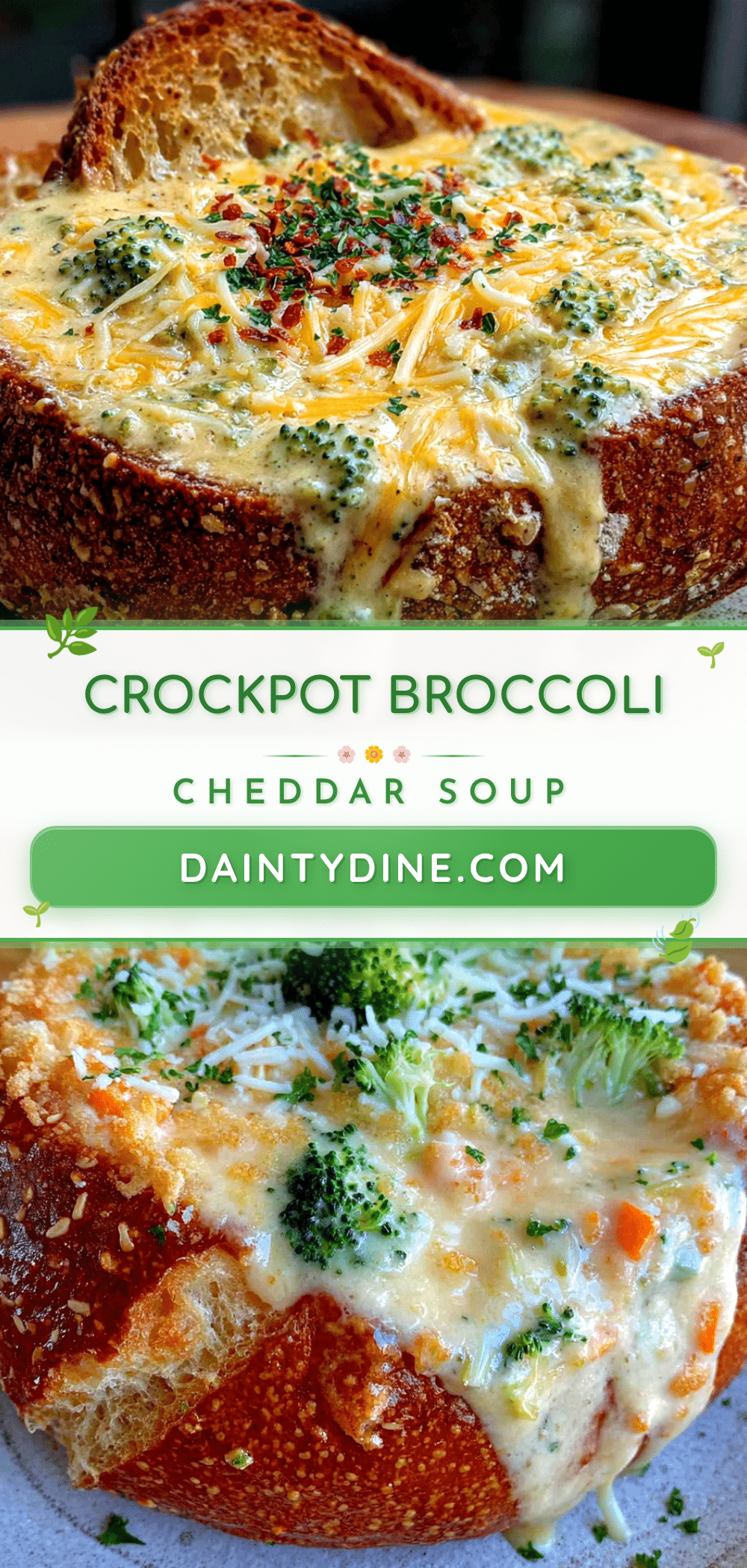 crockpot broccoli cheddar soup recipe